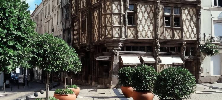 昂热中心美居酒店(Mercure Angers Centre de Congrès)图片