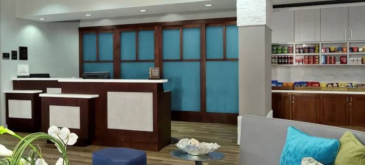 劳德代尔堡机场邮轮码头Homewood Suites by Hilton(Homewood Suites by Hilton Ft. Lauderdale Airport and Cruise Port)图片