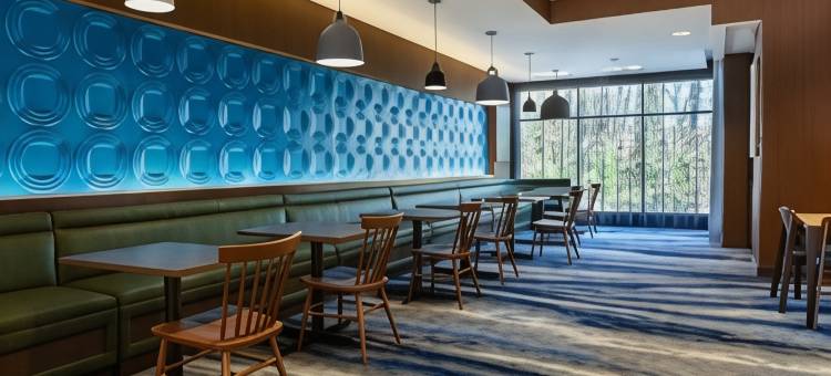 万枫酒店及套房里士满米德洛锡安(Fairfield Inn & Suites Richmond Midlothian)图片