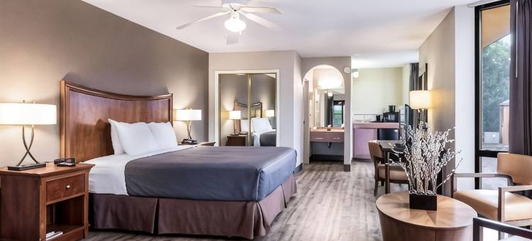 伊克诺旅馆，盖恩斯维尔市中心区(Econo Lodge Gainesville Downtown Area)图片