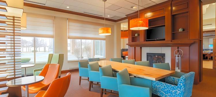 芝加哥中途机场希尔顿花园酒店(Hilton Garden Inn Chicago/Midway Airport)图片