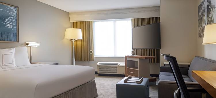 纽瓦克国际机场SpringHill Suites 酒店(SpringHill Suites by Marriott Newark International Airport)图片