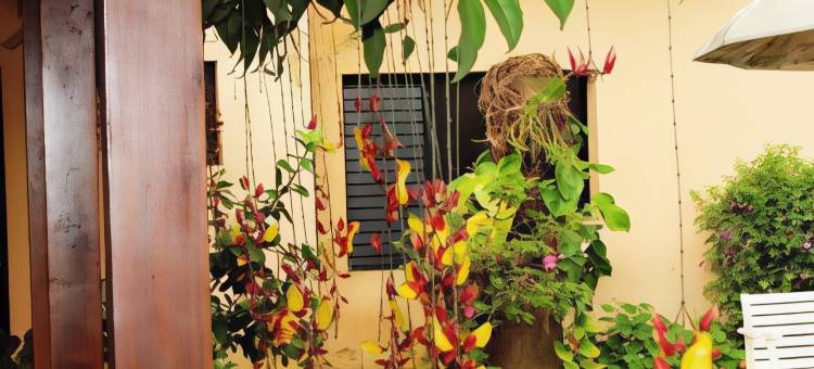 阿尔卑斯酒店(Alpes Hotel)图片