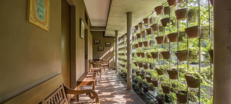 图里古宅酒店(Rumah Turi Eco Boutique Hotel)图片