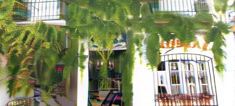 特雷斯太阳旅馆(Hostal Tres Soles)图片