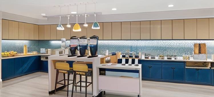 里士满高地唐普雷斯套房酒店(TownePlace Suites Richmond Colonial Heights)图片