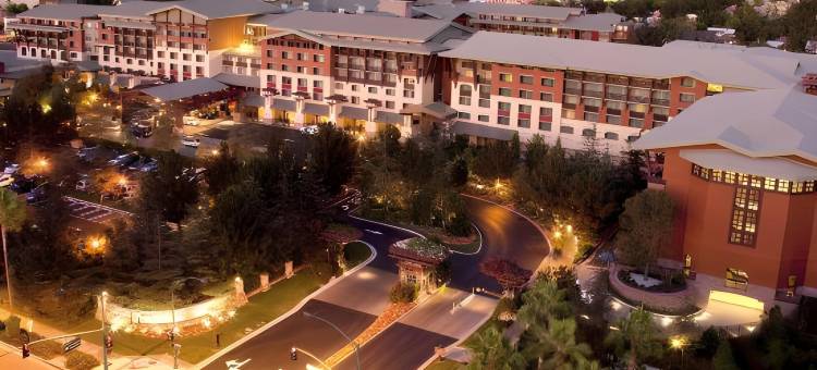 加州迪士尼大酒店(Disney's Grand Californian Hotel & Spa)图片