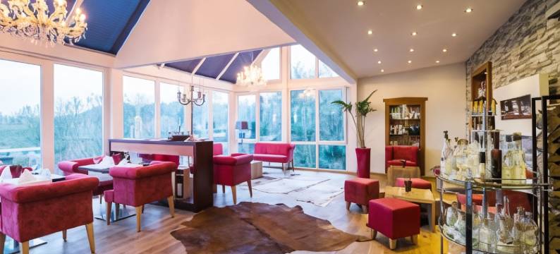 斯坦奈内斯施维辰设计会议酒店及餐厅(Design-Konferenzhotel & Restaurant Steinernes Schweinchen)图片