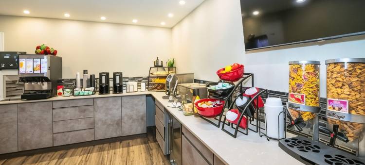 山麓汽车旅馆(Econo Lodge Inn & Suites)图片