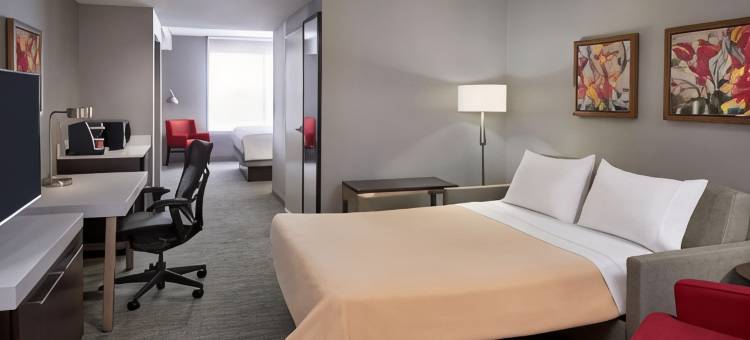 安大略米西索加机场西希尔顿花园旅馆(Hilton Garden Inn Toronto Airport West/Mississauga)图片