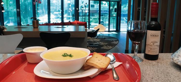 宜必思帕苏丰杜中心酒店(Ibis Passo Fundo Centro)图片