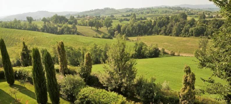 望楼民宿(La Vedetta B&B Con Ristorante e Acetaia)图片