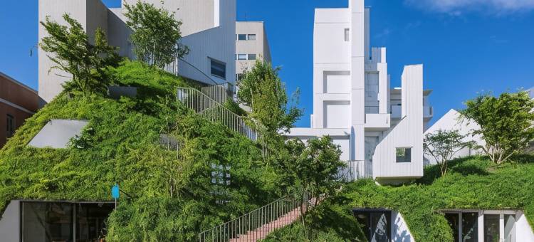 白井屋酒店(Shiroiya Hotel)图片