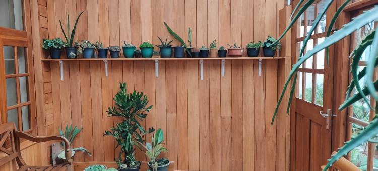 加冕歇息酒店(Carnation rest)图片