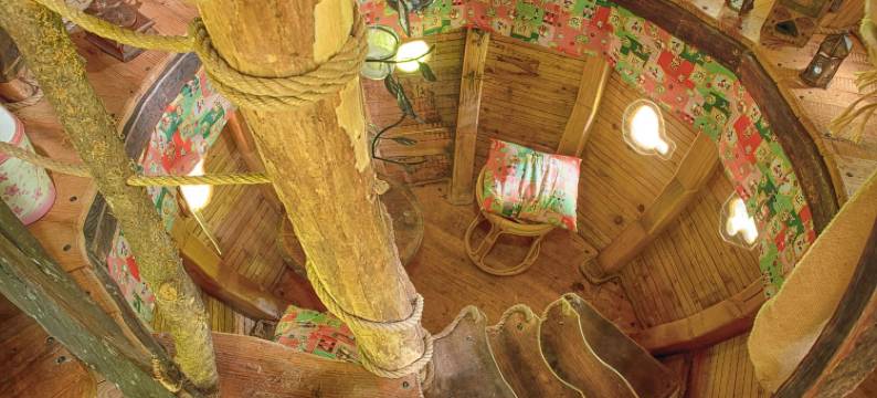 阿尔布雷卡巴内酒店(L'Arbre à Cabane)图片