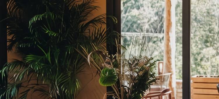 圣塔玛格丽塔庄园(Domaine Santa Margherita)图片