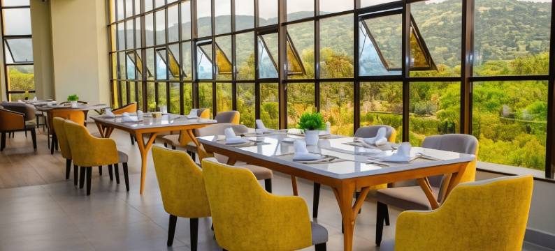 凯亚卡酒店(The Kyaka Hotel)图片