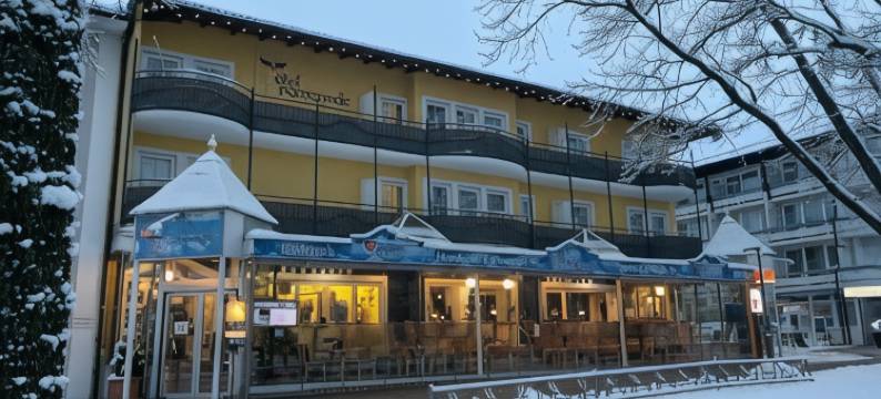 Hotel Promenade图片