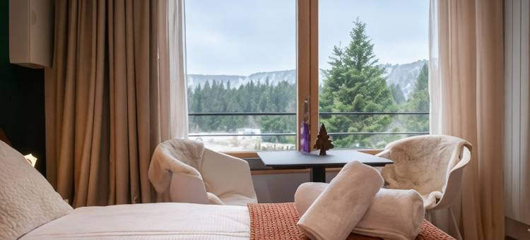 萨宾岛酒店(Terre de Sapins - Hébergement de Charme Avec Sauna & Séjour Nature)图片