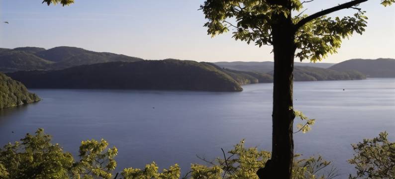 钢尼酒店和度假公寓Seeschlößchen(Garni Hotel & Ferienwohnungen Seeschlößchen)图片