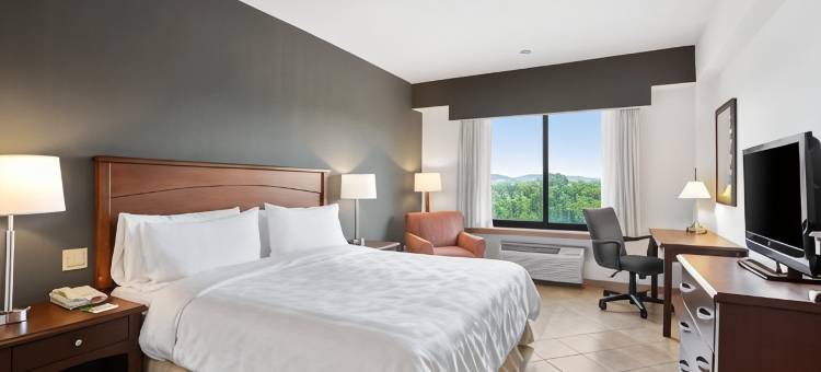 Holiday Inn 市知识(Holiday Inn PANAMA CANAL by IHG)图片