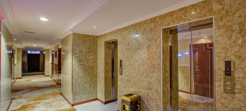 路路酒店(Hotel Lulu)图片