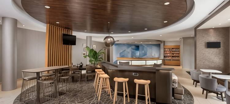 南拉斐特里弗兰奇万豪SpringHill酒店(SpringHill Suites Lafayette South at River Ranch)图片