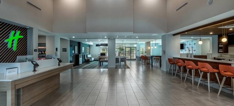 坦帕北部假日酒店(Holiday Inn Tampa North)图片