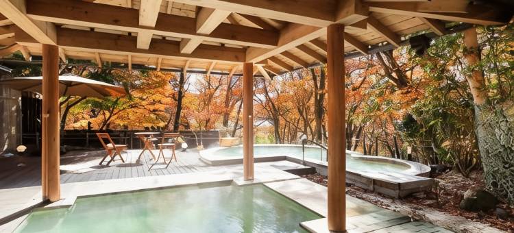 四季彩酒店(Hotel Shikisai)(Hotel Shikisai)图片