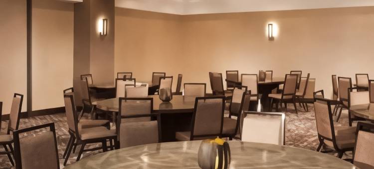 杜勒斯机场希尔顿安泊套房酒店(Embassy Suites by Hilton Dulles Airport)图片