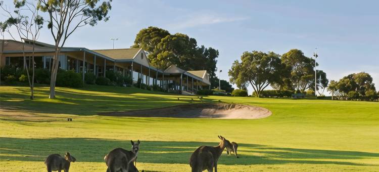 托克姆沃尔早期定居者汽车旅馆(Tocumwal Early Settlers Motel)图片