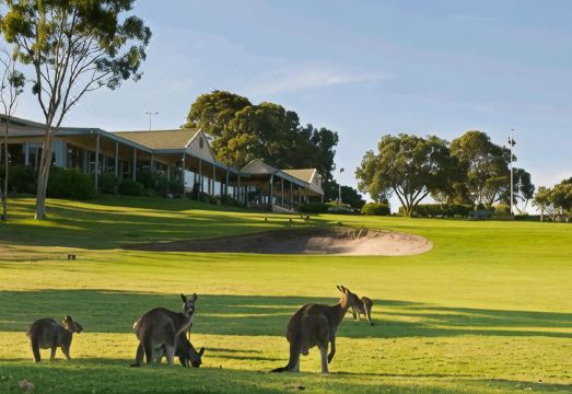 Tocumwal Early Settlers MotelHotel Overview