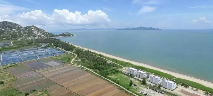 台山新港湾图片
