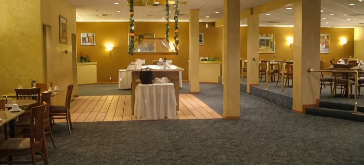 芝加哥希尔赛贝斯特韦斯特优质酒店(Best Western Plus Chicago Hillside)图片