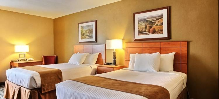 锡夫里弗福尔斯的品质酒店Inn(Quality Inn Thief River Falls)图片