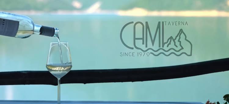 Hotel Cami图片