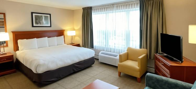 智能套房酒店-阿桑德连锁酒店(Smart Suites, Ascend Hotel Collection)图片