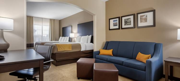 小石城北部麦凯恩购物中心舒适套房酒店(Comfort Inn & Suites North Little Rock McCain Mall)图片