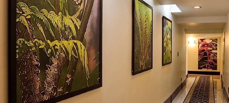 泰拉诺瓦贝斯特韦斯特高级精选酒店(Terra Nova All Suite Hotel)图片