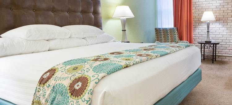 迈克艾伦德鲁里套房酒店(Drury Inn & Suites McAllen)图片