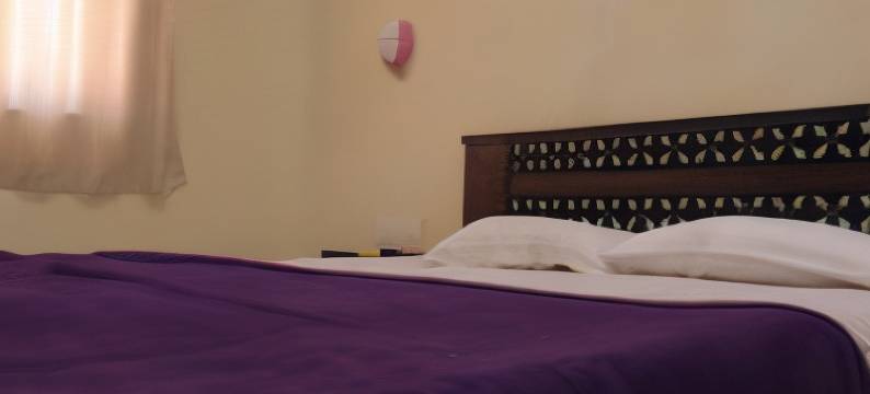 Suraj旅馆(Suraj Inn)图片