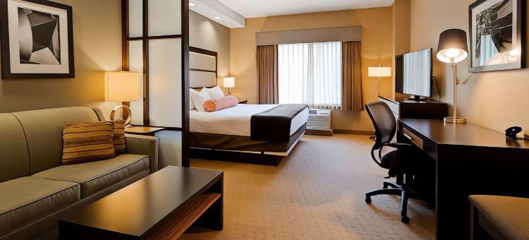 大学公园市贝斯特韦斯特优质酒店(Best Western Plus College Park Hotel)图片