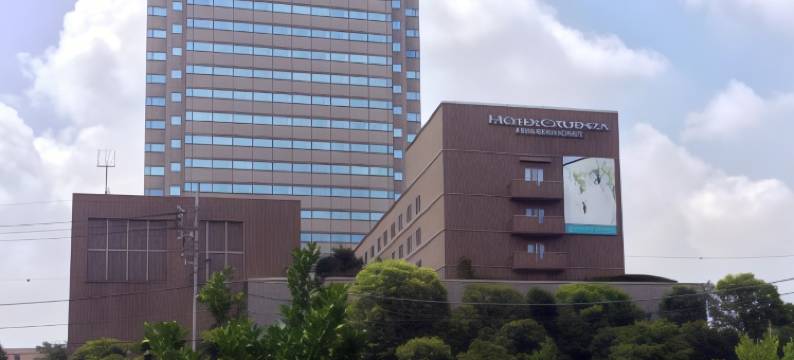 东京华彩酒店(Hotel Cadenza Tokyo)图片