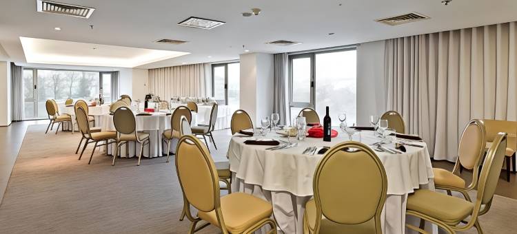 圣若昂达马德拉郁锦香酒店(Golden Tulip Sao Joao Da Madeira Hotel)图片