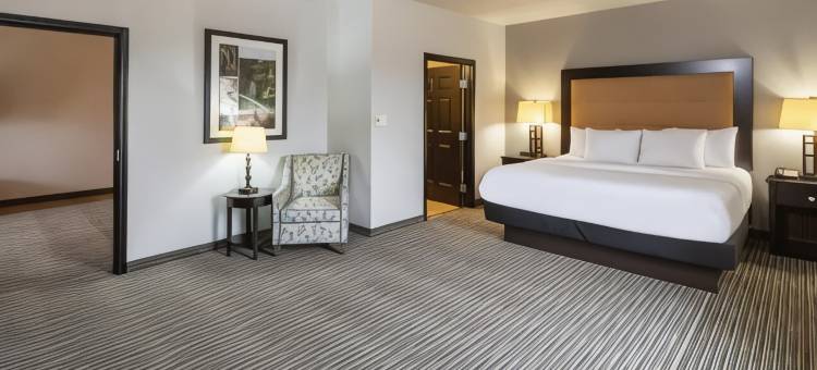 芒特普莱森特拉昆塔温德姆套房酒店(La Quinta Inn & Suites by Wyndham Mt. Pleasant)图片