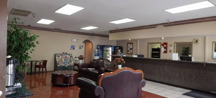 普兰特城骑士酒店(Knights Inn Plant City)图片