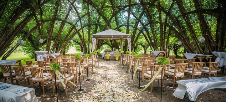 他的时光施普利瓦尔德度假酒店(Spreewaldresort Seinerzeit)图片