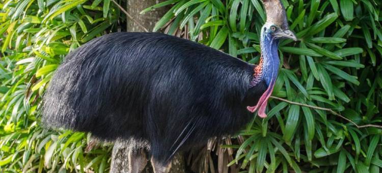 BIG4塔斯曼度假公园－南使命海滩(Big4 Tasman Holiday Parks - South Mission Beach)图片