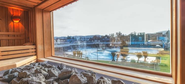 巴德组尔萨克公园酒店(Dorint Parkhotel Bad Zurzach)图片