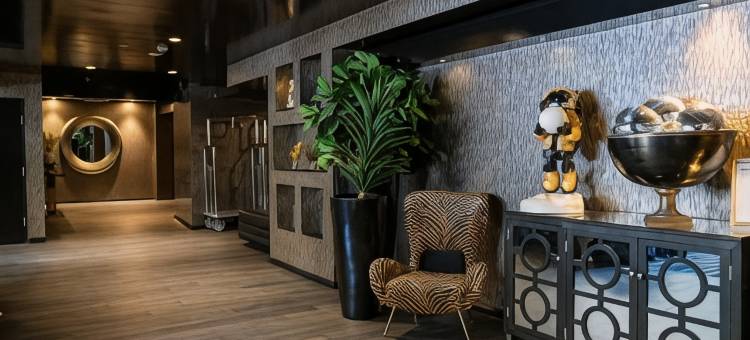 57酒店(57Hotel)图片